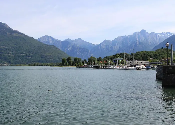 White House Lucia * 콜리코